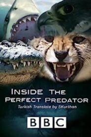 Inside the Perfect Predator 2010 one on netflix
