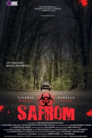 Safrom 2015 one on netflix