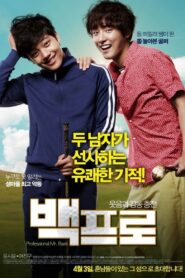 Mr. Perfect 2014 one on netflix