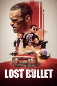 Lost Bullet 2020 one on netflix
