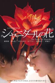 Flower of Shanidar 2013 one on netflix
