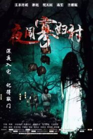 Visit the Widow Village in the Night 2017 one on netflix