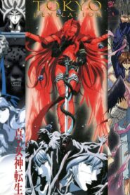 Tokyo Revelation 1995 one on netflix