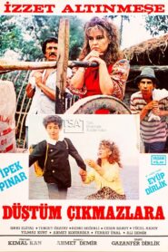 Düştüm Çıkmazlara 1986 one on netflix