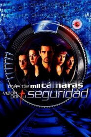 More Than a Thousand Cameras Are Working for Your Safety 2003 one on netflix