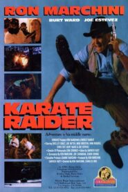 Karate Raider 1995 one on netflix