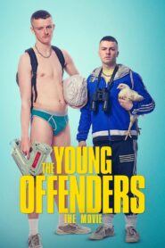 The Young Offenders 2016 one on netflix