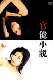 Kannou Shousetsu 2007 one on netflix