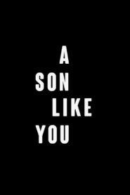 A Son Like You 2012 one on netflix
