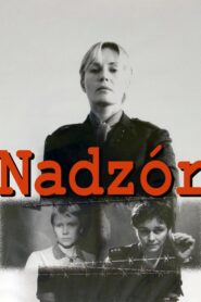 Custody 1985 one on netflix