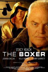 The Boxer 2009 one on netflix