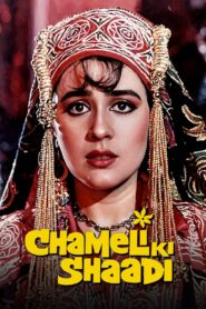 Chameli Ki Shaadi 1986 one on netflix