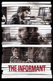 The Informant 2013 one on netflix