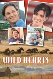 Wild Hearts 2006 one on netflix