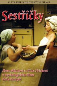 Sestricky 1984 one on netflix