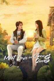 Meet Love in Chong Qing 2024 one on netflix