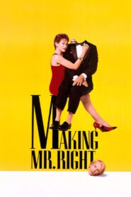 Making Mr. Right 1987 one on netflix