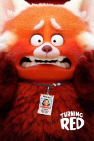 Turning Red 2022 one on netflix