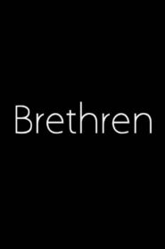 Brethren 2010 one on netflix