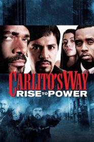 Carlito’s Way: Rise to Power 2005 one on netflix