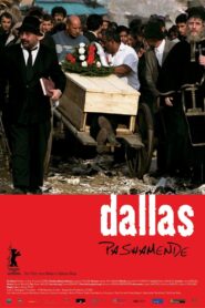 Dallas Pashamende 2005 one on netflix