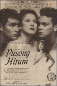 Pusong Hiram 1996 one on netflix
