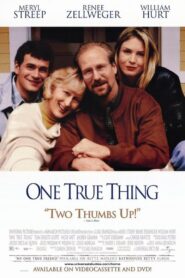 One True Thing 1998 one on netflix