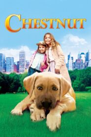 Chestnut: Hero of Central Park 2004 one on netflix