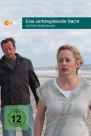 Eine verhängnisvolle Nacht 2013 one on netflix