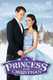 A Princess for Christmas 2011 one on netflix