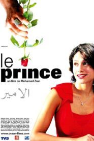 Le prince 2005 one on netflix