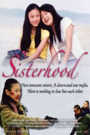 Sisterhood 2008 one on netflix