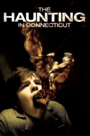 The Haunting in Connecticut 2009 one on netflix