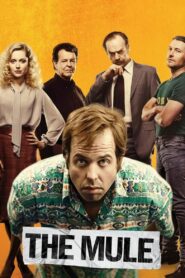 The Mule 2014 one on netflix