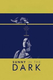 Sunny in the Dark 2015 one on netflix