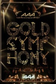 AAA ARENA TOUR 2014 -Gold Symphony- 2015 one on netflix