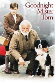 Goodnight, Mister Tom 1998 one on netflix