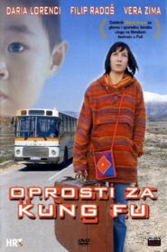 Sorry for Kung Fu 2004 one on netflix