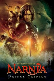 The Chronicles of Narnia: Prince Caspian 2008 one on netflix