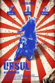 The Bear 2011 one on netflix
