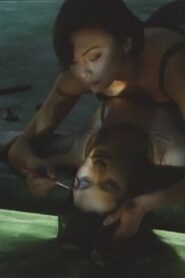 NUMANITE 1995 one on netflix