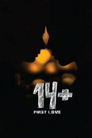 14+ 2015 one on netflix
