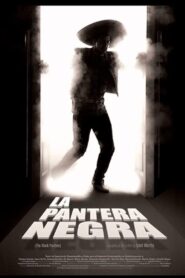 La pantera negra 2010 one on netflix