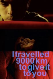 I Travelled 9000 km to Give It to You 2007 one on netflix