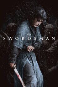 The Swordsman 2020 one on netflix