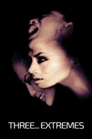 Three… Extremes 2004 one on netflix