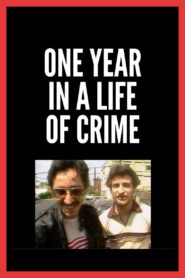 One Year in a Life of Crime 1989 one on netflix
