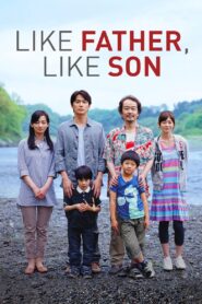 Like Father, Like Son 2013 one on netflix