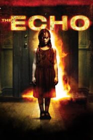 The Echo 2008 one on netflix