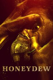 Honeydew 2021 one on netflix
